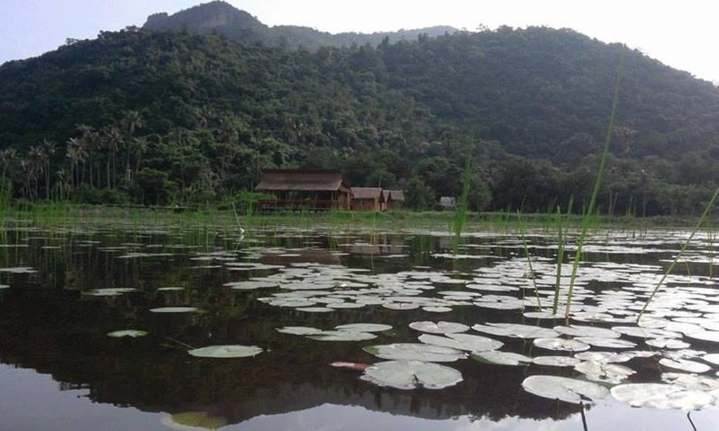 Lungcha Homestay Sam Roi Yot Extérieur photo