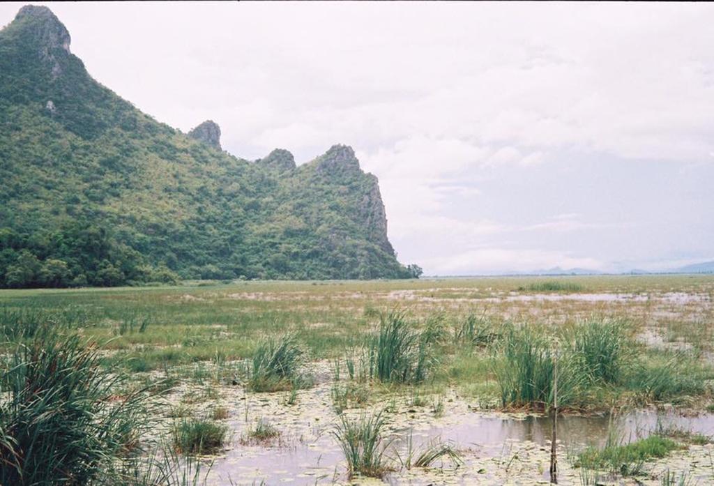 Lungcha Homestay Sam Roi Yot Extérieur photo